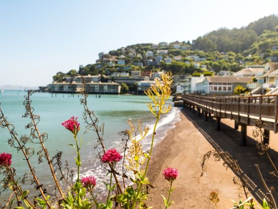 ミュアウッズ国定公園＆サウサリート　半日観光ツアー ＜日本語音声ガイド付き＞