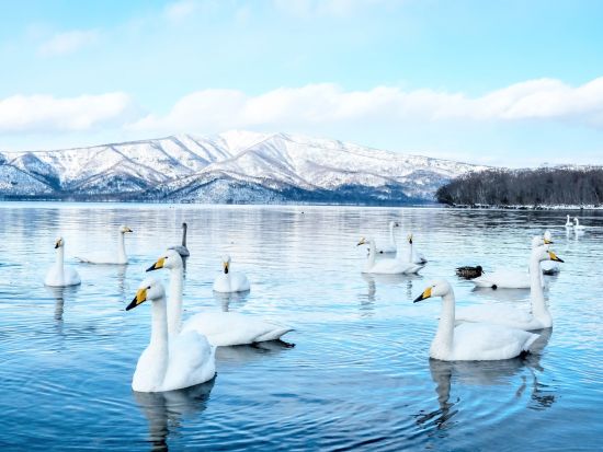 貸切観光タクシー 釧路市内発着 日帰りプライベートタクシープラン 車椅子対応専用車両プランあり＜通年／釧路市内～郊外／最大9名／1～10時間／1台あたり料金＞