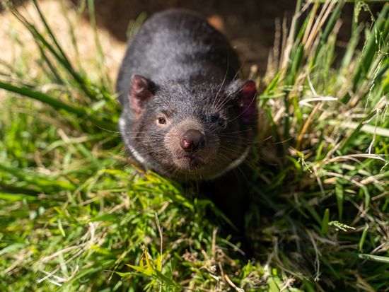 Adventure 6_Under Down Under