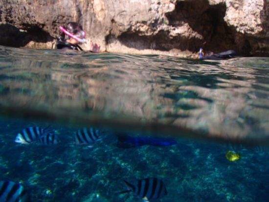 青の洞窟シュノーケリング体験 ビーチから開催されるプライベート体験ツアーでのんびり楽しめる♪＜貸切／10歳～60歳／北谷発＞