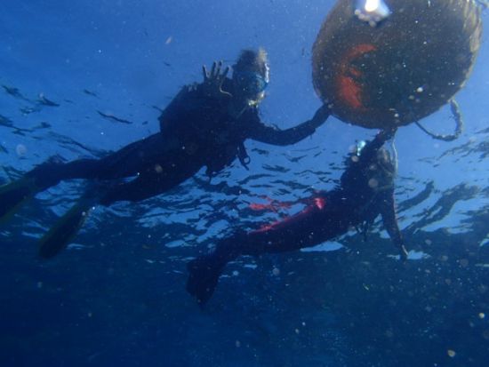 ビーチシュノーケリング体験 プライベート開催でリフレッシュ！夕日とソフトコーラルの綺麗さで有名な宮城海岸をのんびり満喫♪＜貸切／10歳～60歳／北谷発＞
