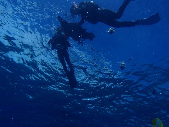 ビーチシュノーケリング体験 プライベート開催でリフレッシュ！夕日とソフトコーラルの綺麗さで有名な宮城海岸をのんびり満喫♪＜貸切／10歳～60歳／北谷発＞