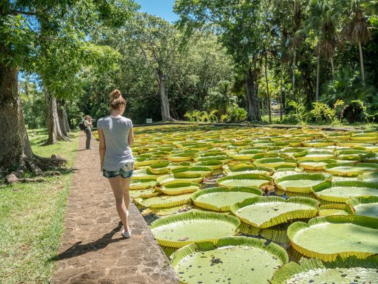 お好きなスポットへご案内！モーリシャス島 貸切観光チャーターツアー＜専属英語ドライバーガイド／最大3名／8時間／ホテル送迎付＞*1台あたり料金