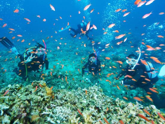 体験ダイビング＆シュノーケリング 初心者でも安心！半日で石垣島の海を大満喫できる贅沢プラン SNS映え間違いなしの写真データプレゼント！＜送迎付／石垣島＞