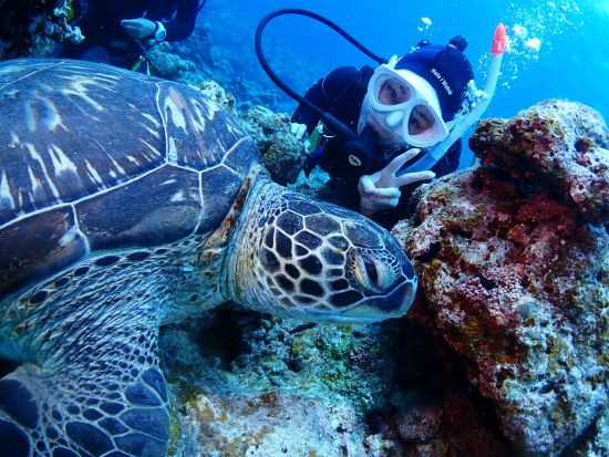 体験ダイビング＆シュノーケリング 初心者でも安心！半日で石垣島の海を大満喫できる贅沢プラン SNS映え間違いなしの写真データプレゼント！＜送迎付／石垣島＞