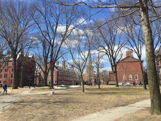 Harvard_Yard_3
