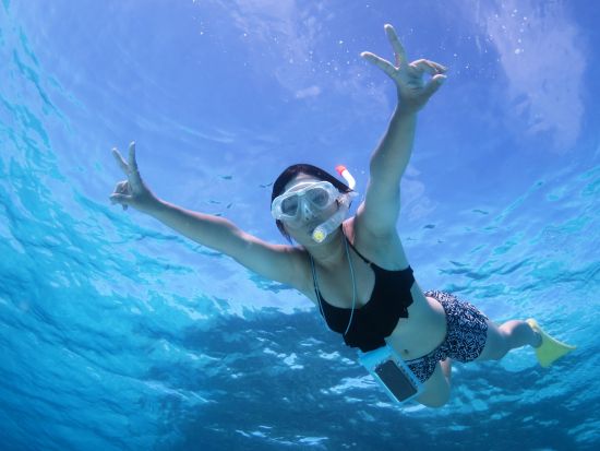 シュノーケリング&竹富島フリープラン ロケーション抜群の海で様々な生き物と触れ合おう！自由に竹富島を満喫◎＜お迎え付／石垣島発＞