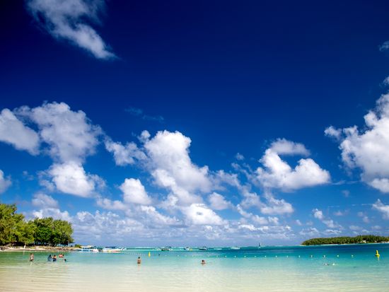 AdobeStock_325701096 (1)