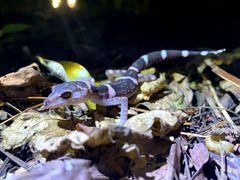 LINE_ALBUM_230704_25