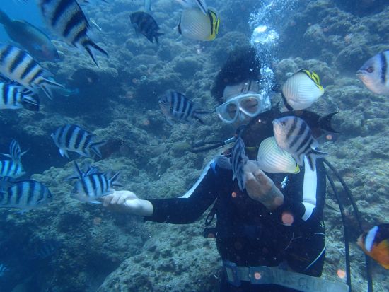 マンツーマン体験ダイビング のんびりビーチから自分のペースでダイビング♪大人気のスポット「青の洞窟」か「砂辺」で開催＜3時間／12歳～54歳／北谷発＞