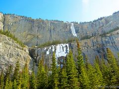 Icefield-Parkway-Weeping-Wall-01-600