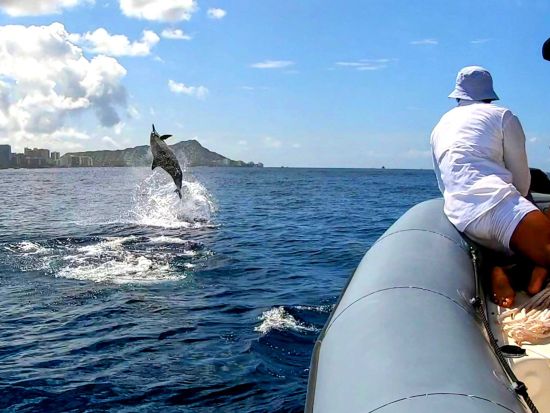 貸切シュノーケリングツアー　高速ゴムボート「ゾディアック」に乗船！スリル満点のクルージングも楽しめるツアー＜英語スタッフ／1～12名／ワイキキ発＞