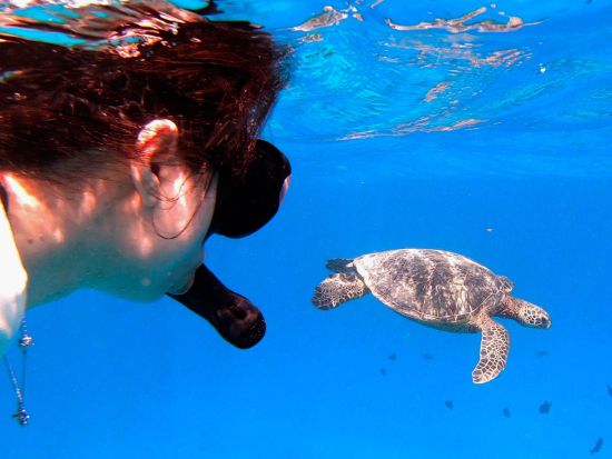 貸切シュノーケリングツアー　高速ゴムボート「ゾディアック」に乗船！スリル満点のクルージングも楽しめるツアー＜英語スタッフ／1～12名／ワイキキ発＞