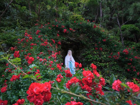 上五島貸切観光タクシー　フリープランで自由に観光　港・ホテルからの送迎OK！初日や最終日にもおすすめ ＜最大9名／3～8時間／新上五島町＞ by 有川タクシー