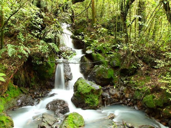 Australia_Tasmnia_Russell Falls_shutterstock_77162311
