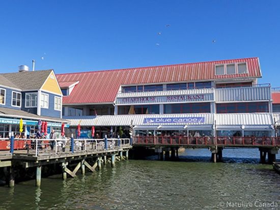 Steveston-Fishermans-Wharf-01-600