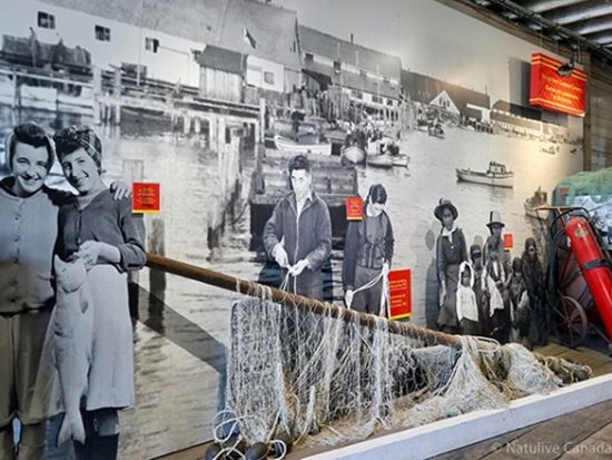 スティーブストン ウォーキングツアー　国定史跡の缶詰工場博物館やブリタニア造船所などをめぐる ＜日本語ガイド／バンクーバー発＞