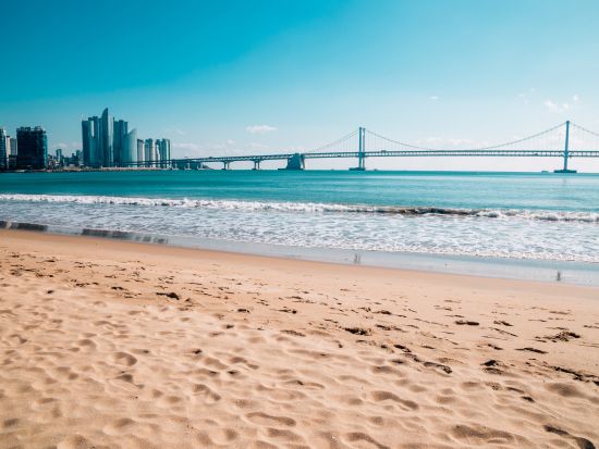 ソウル発！釜山観光ツアー　海東龍宮寺や海雲台（ヘウンデ）ビーチなどを巡る　名物料理のランチ　KTX（高速鉄道）利用 ＜1日／日本語ガイド＞
