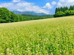 pixta_42722988_M