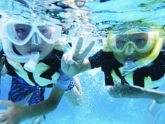 半日シュノーケリング&ランチビュッフェ付きツアー 透明度抜群の海で様々な生き物と冒険！海の見えるCafeで贅沢ランチも＜約3時間半／お迎え付／昼食付／石垣島発＞