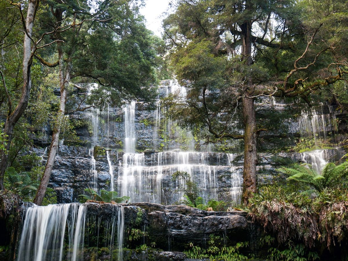 ラッセル滝＆マウント・フィールド国立公園観光ツアー マイナスイオン