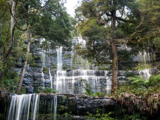 ラッセル滝＆マウント・フィールド国立公園観光ツアー　マイナスイオンたっぷりの温帯雨林を散策＜1日／英語／ホバート発着＞