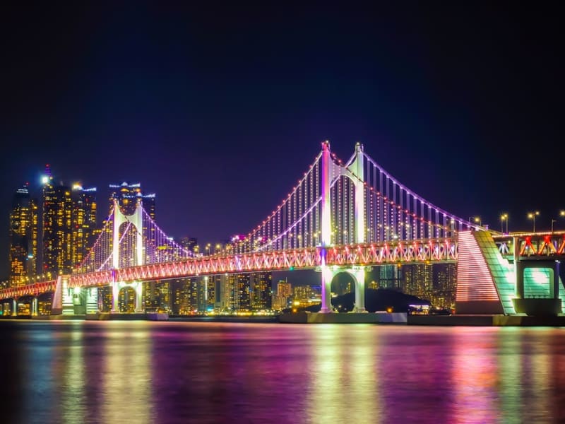 Korea_Busan_Gwangan Bridge_Night_shutterstock_1015625131