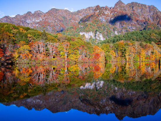 山の庭タンネで戸隠テロワール ～夕食は戸隠で取れた山肉料理 ジビエを堪能～ ＜1泊2日・2泊3日／長野県＞