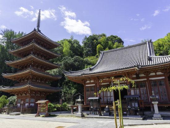 貸切観光タクシー 潮待ちの港 鞆の浦＋名城・福山城＜6時間／1-9名／尾道発着＞4名参加で1名12,420円～ by 大平交通