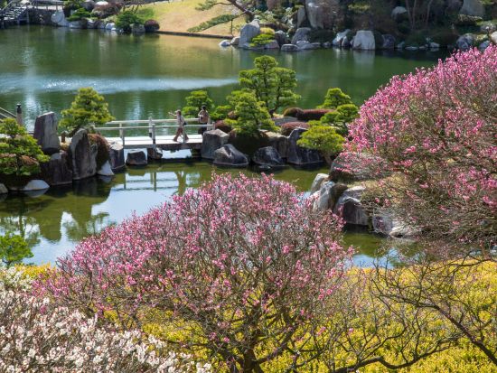 貸切観光タクシー 三原市の歴史と絶景を巡る 三原城跡＋米山寺＋筆影山＋三景園＜4時間半／1-9名／尾道発着＞4名参加で1名9,315円～ by 大平交通