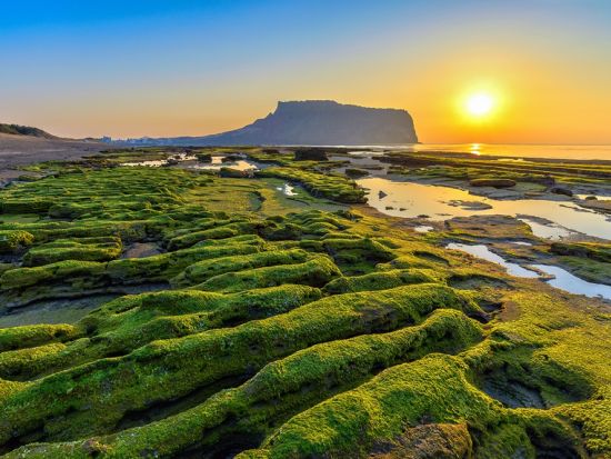 済州島観光ツアー　3大世界遺産を制覇！漢拏山（ハルラサン）＋城山日出峰＋万丈窟　済州島黒豚焼きランチ＜ 1日／日本語ガイド／ホテル送迎付／貸切プラン有＞
