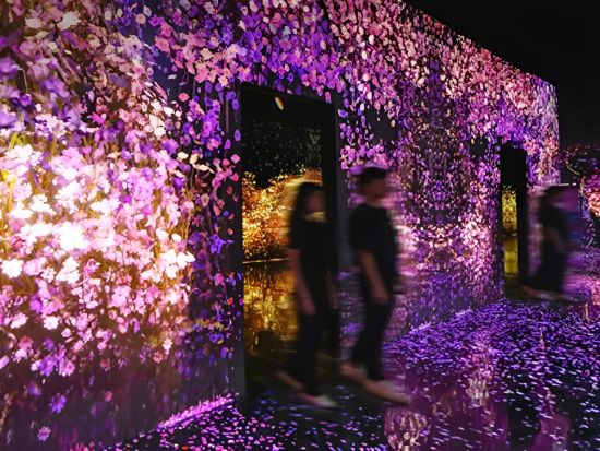 江陵日帰りツアー　アルテミュージアム江陵＆中央市場＆注文津海水浴場＆牛石息子岩公園＆香湖海岸バス停 ＜英語ガイド／ソウル発＞