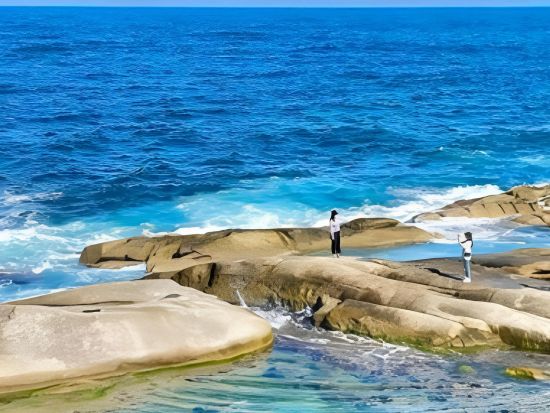 江陵日帰りツアー　アルテミュージアム江陵＆中央市場＆注文津海水浴場＆牛石息子岩公園＆香湖海岸バス停 ＜英語ガイド／ソウル発＞