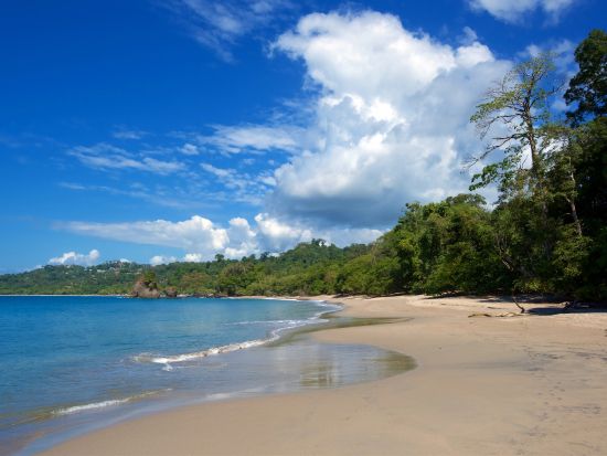 マヌエルアントニオ国立公園2泊3日ツアー＜混載／英語ガイド／ホテル込／朝食付／サンホセ発＞