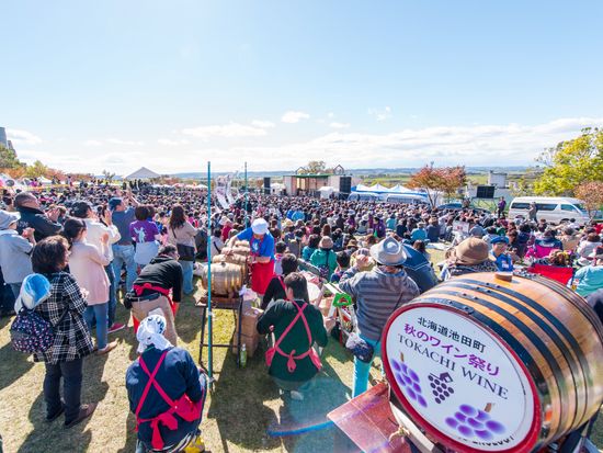 ワイン祭り_2015_メイン