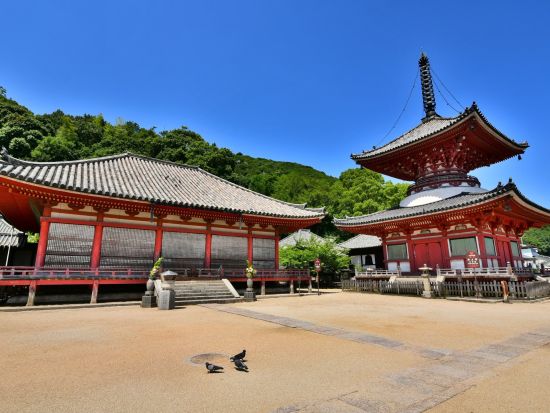 貸切観光タクシー 尾道三山の名刹を巡る 千光寺＋西国寺＋浄土寺 ＜3時間／1-9名／尾道発着＞4名参加で1名6,210円～ by 大平交通