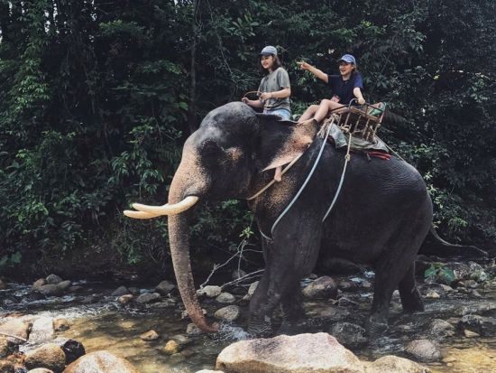 ラフティング(5km/7km)+ジップライン（フライングフォックス）+大自然の中での象乗り(エレファント・トレッキング：30分）＜終日／ホテル送迎／昼食＞