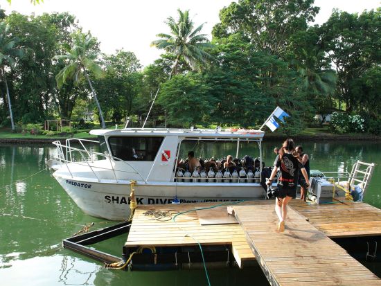 ファンダイビング　シャークダイビング＜ボート／2ダイブ／送迎付き＞by ベンガアドベンチャーダイバーズ