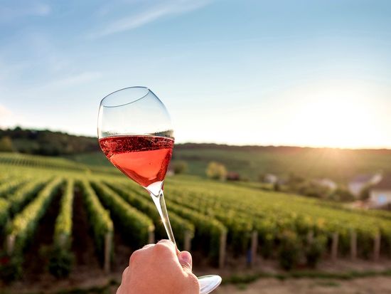 chateau_de_sacy_3692