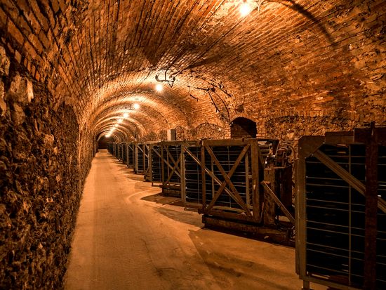 champ._charles_ellner_dscf3298