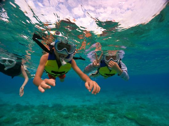 シュノーケリング体験 ウミガメ探索ツアー 透き通った美しい海でウミガメと一緒に泳ごう＜6歳から参加OK／写真・動画撮影サービス／恩納村＞