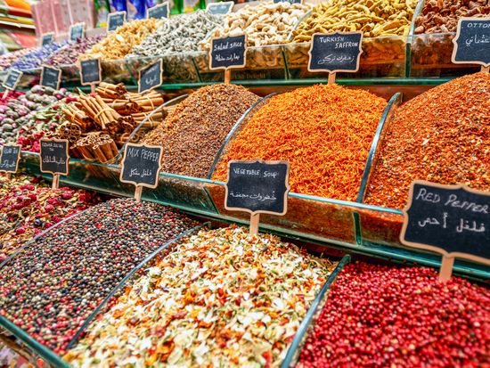 AdobeStock_282103875