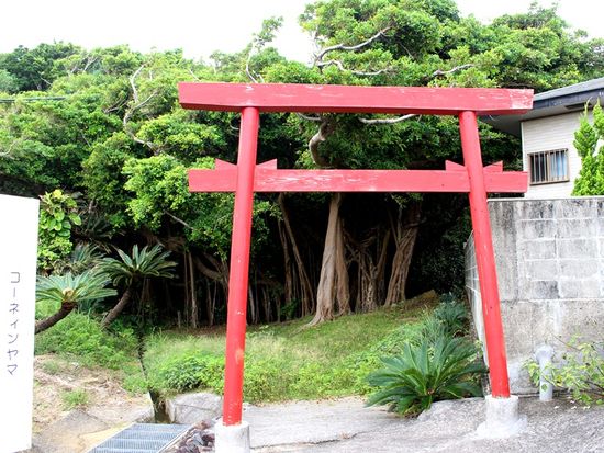 コーニィンヤマ