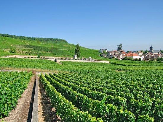 France_Wine-Region_Village of Oger near Epernay_123RF_18275651_ML