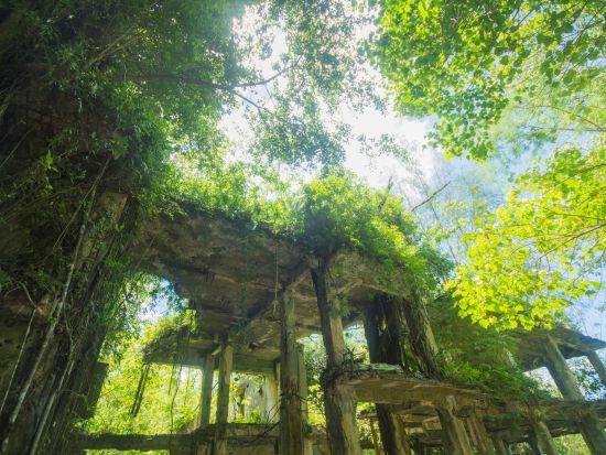 ペリリュー島戦跡ツアー　パラオと日本の歴史を紐解く1日ツアー<昼食付／送迎付き>by IMPAC TOURS