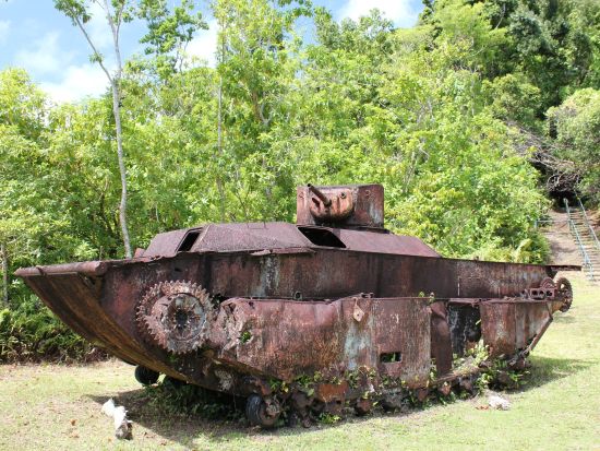 ペリリュー島戦跡ツアー　パラオと日本の歴史を紐解く1日ツアー<昼食付／送迎付き>by IMPAC TOURS