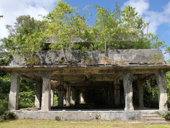 ペリリュー島戦跡ツアー　パラオと日本の歴史を紐解く1日ツアー<昼食付／送迎付き>by IMPAC TOURS