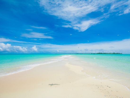 秘境ノースアイランド1日ツアー　ユーンズ島＋カヤンゲル島でマリンスポーツを満喫＜昼食付／送迎付き＞by IMPAC TOURS