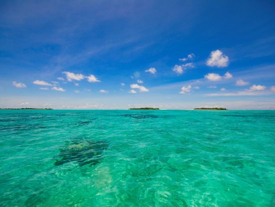 秘境ノースアイランド1日ツアー　ユーンズ島＋カヤンゲル島でマリンスポーツを満喫＜昼食付／送迎付き＞by IMPAC TOURS