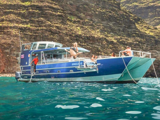 Na Pali Coast Boat Tour & Snorkel Cruise from Port Allen - Liko Kauai  Cruises tours, activities, fun things to do in Kauai(Hawaii)｜VELTRA
